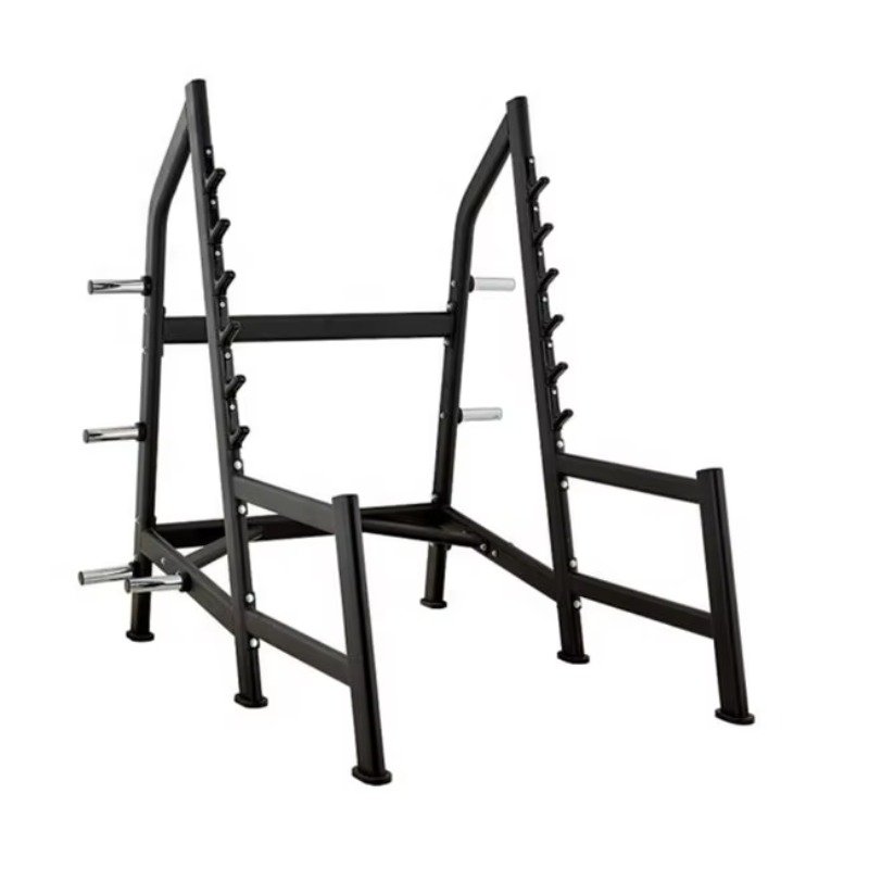 스쿼트 랙 파워 케이지, 안전 암이 있는 플레이트 로디 - Squat Rack Power 리뷰 및 가격